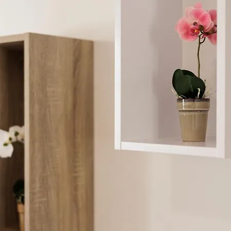 Nisos Corfu بينيتسيس