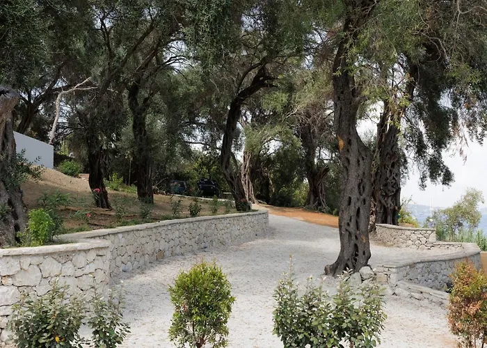 别墅 Nisos Corfu 贝尼蔡斯